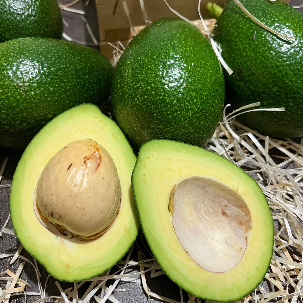 Mix Box Avocado Bacon/Limoni
