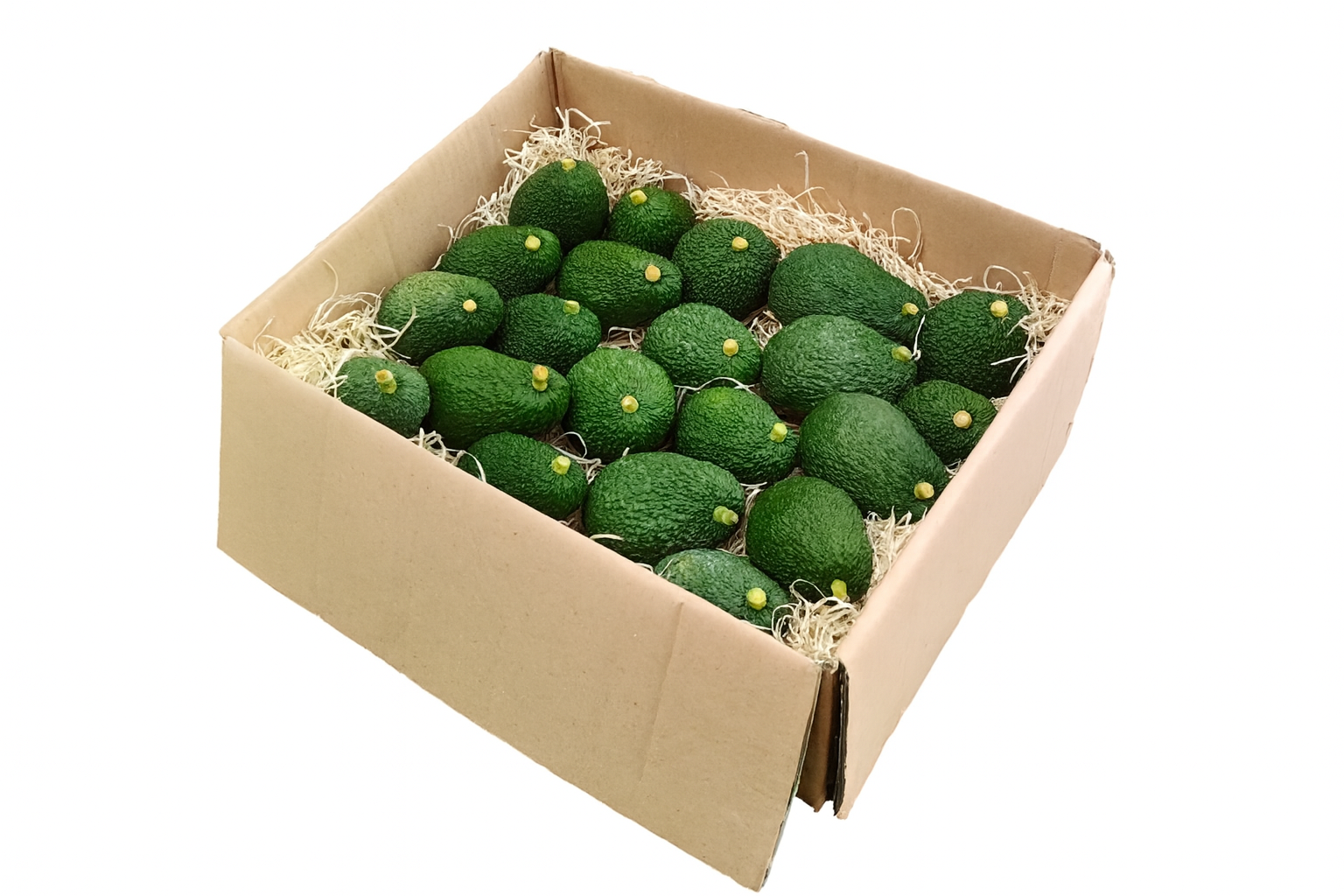 Avocado Siciliano Hass