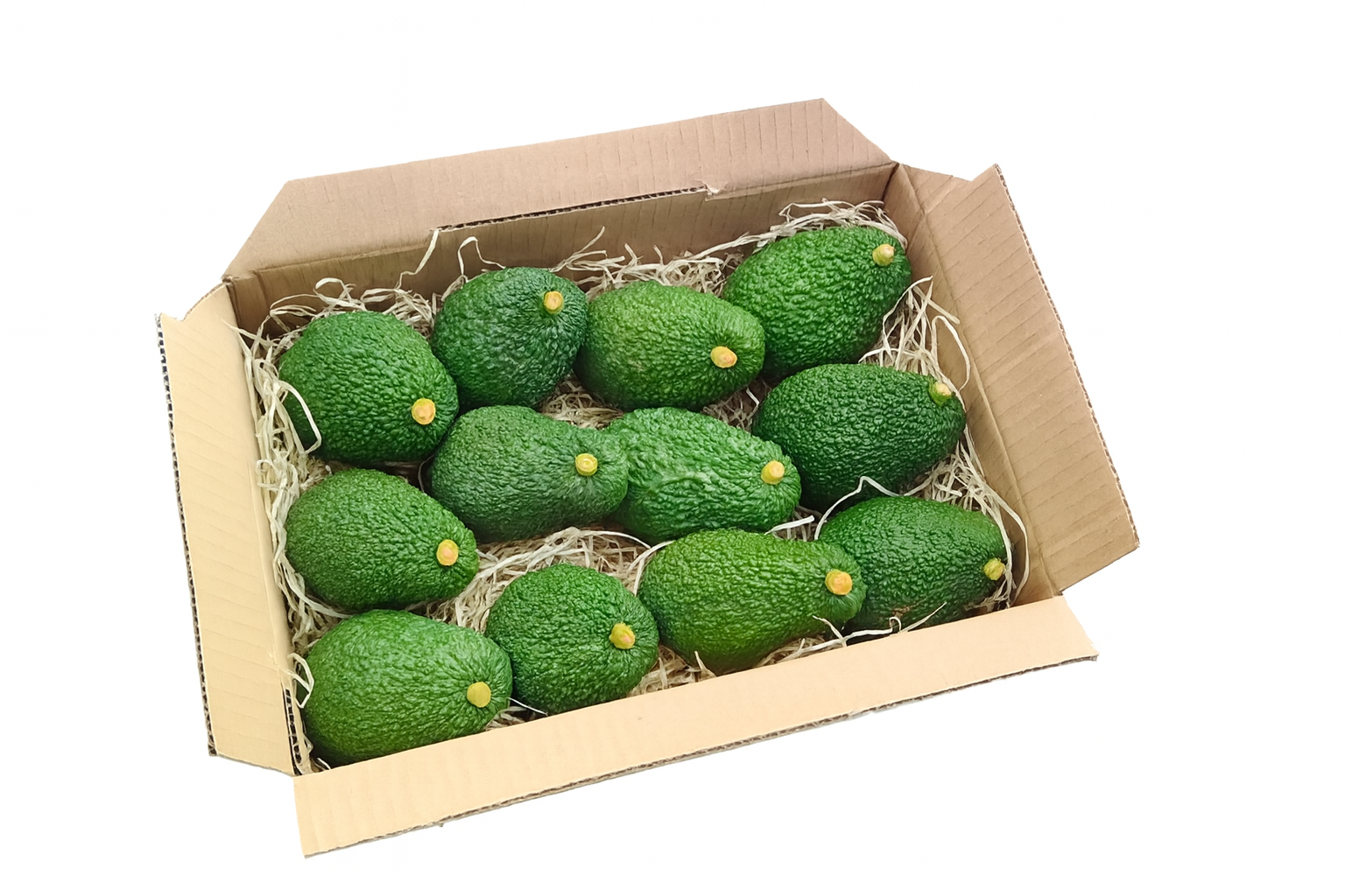 Avocado Siciliano Hass