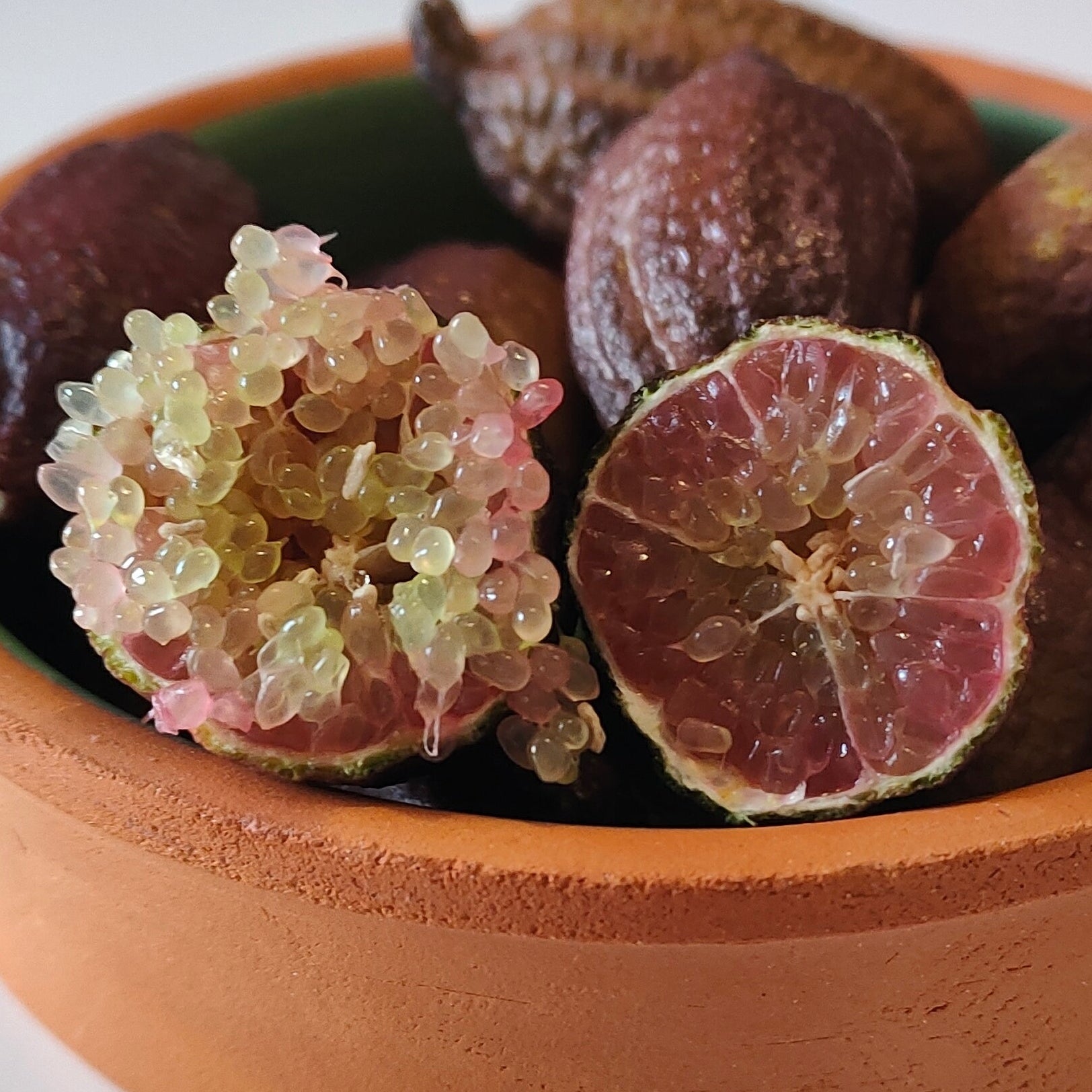 "Caviale di Limone" Finger Lime