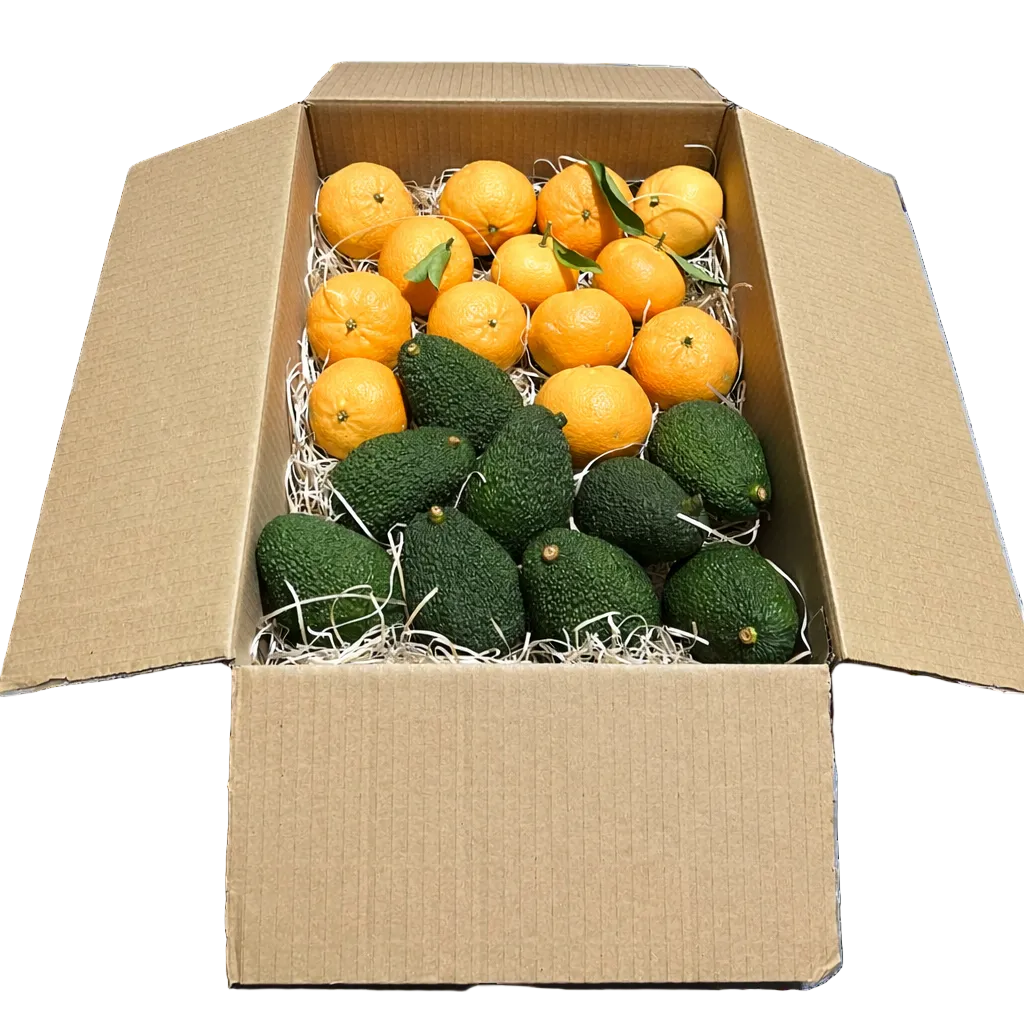 MIX Avocado/Mandarini