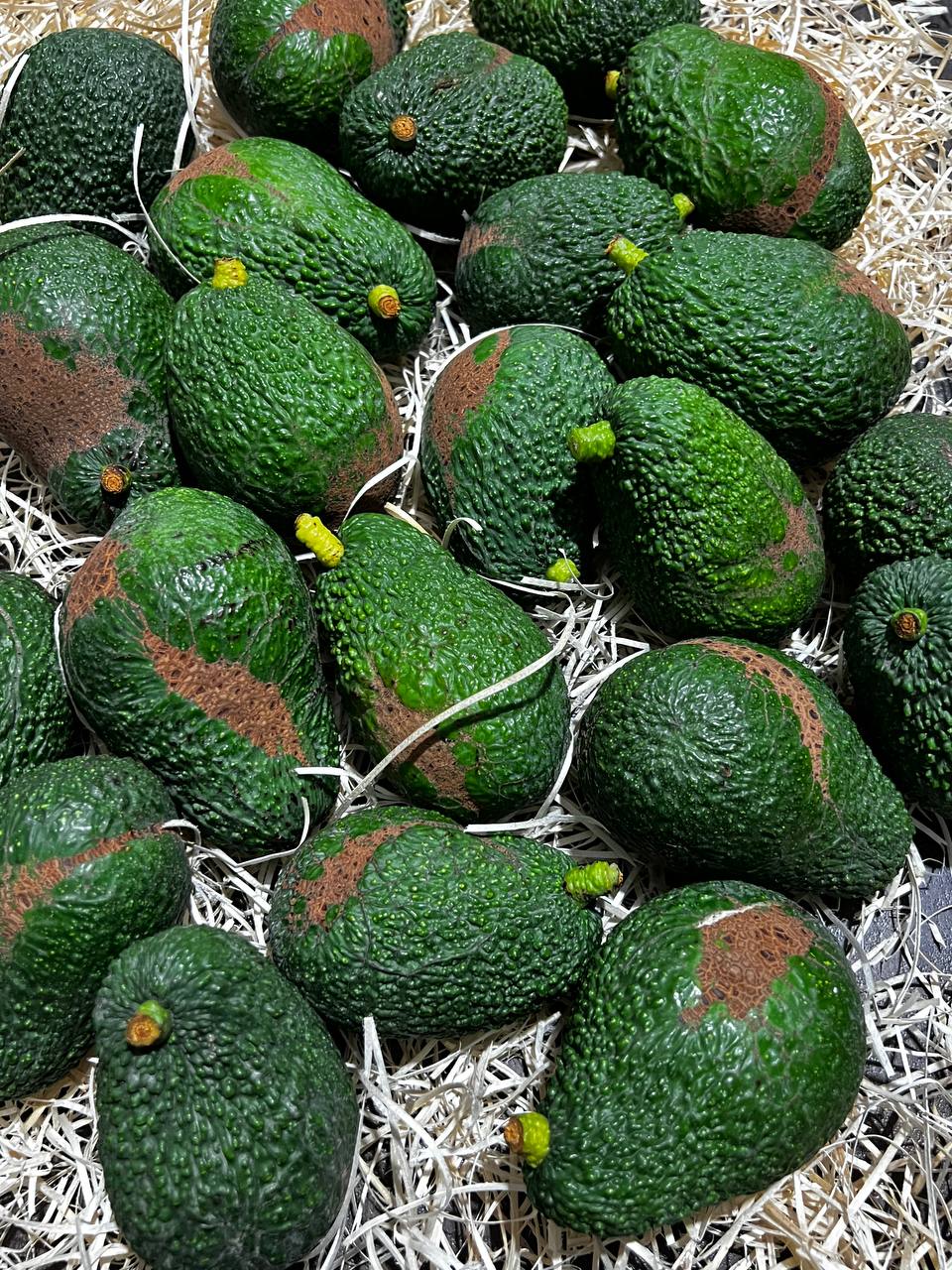 Avocado con irregolarità estetiche