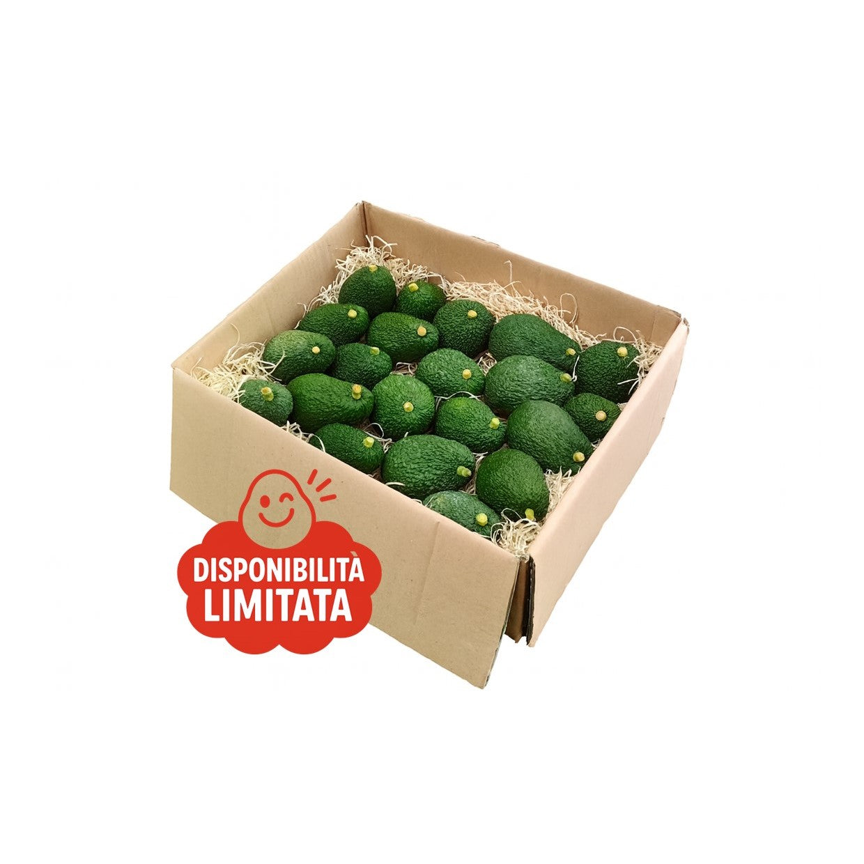 Avocado Siciliano Hass