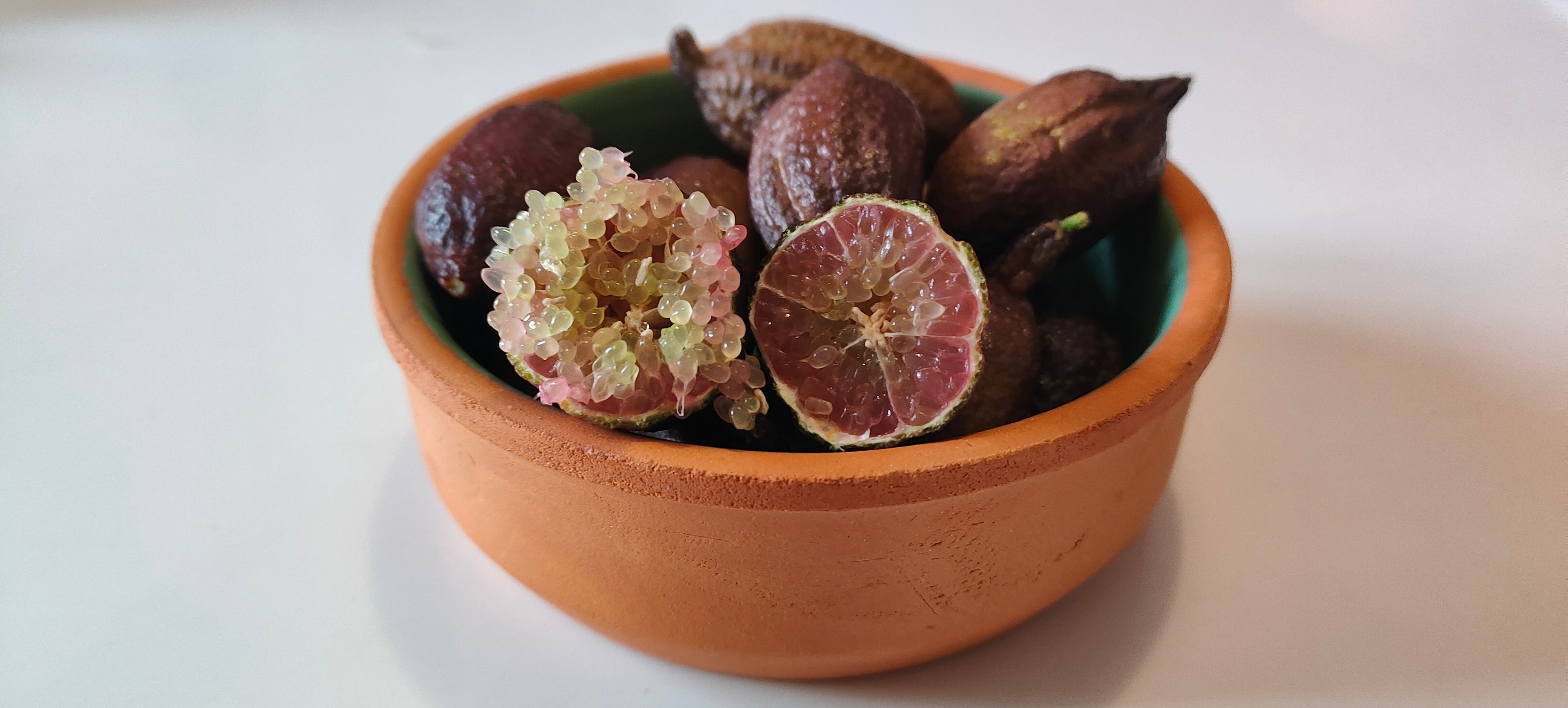 Caviale di Limone - Finger Lime
