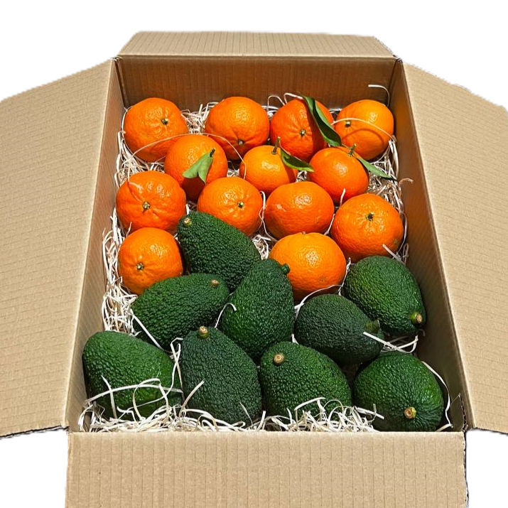 MIX Avocado/Clementine