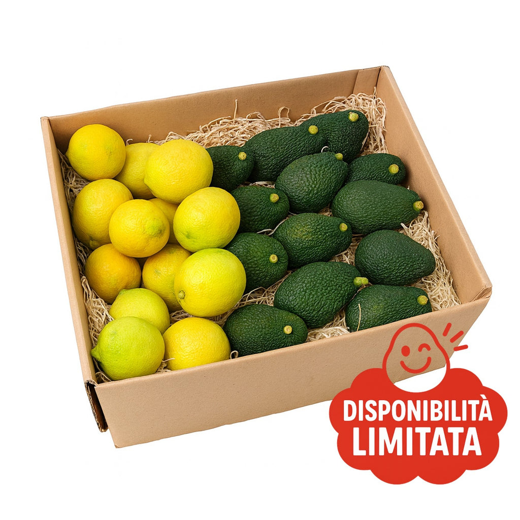 MIX Avocado/Limoni