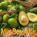 Mix Box Avocado Bacon/Limoni
