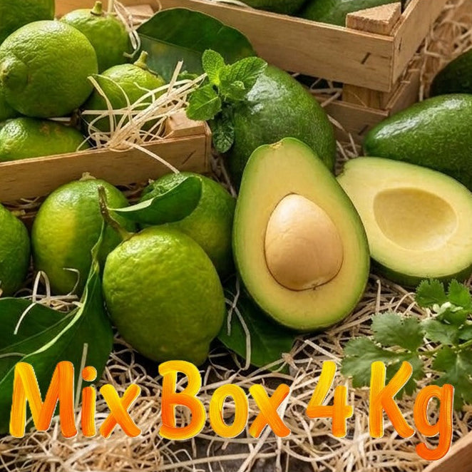 Mix Box Avocado Bacon/Limoni